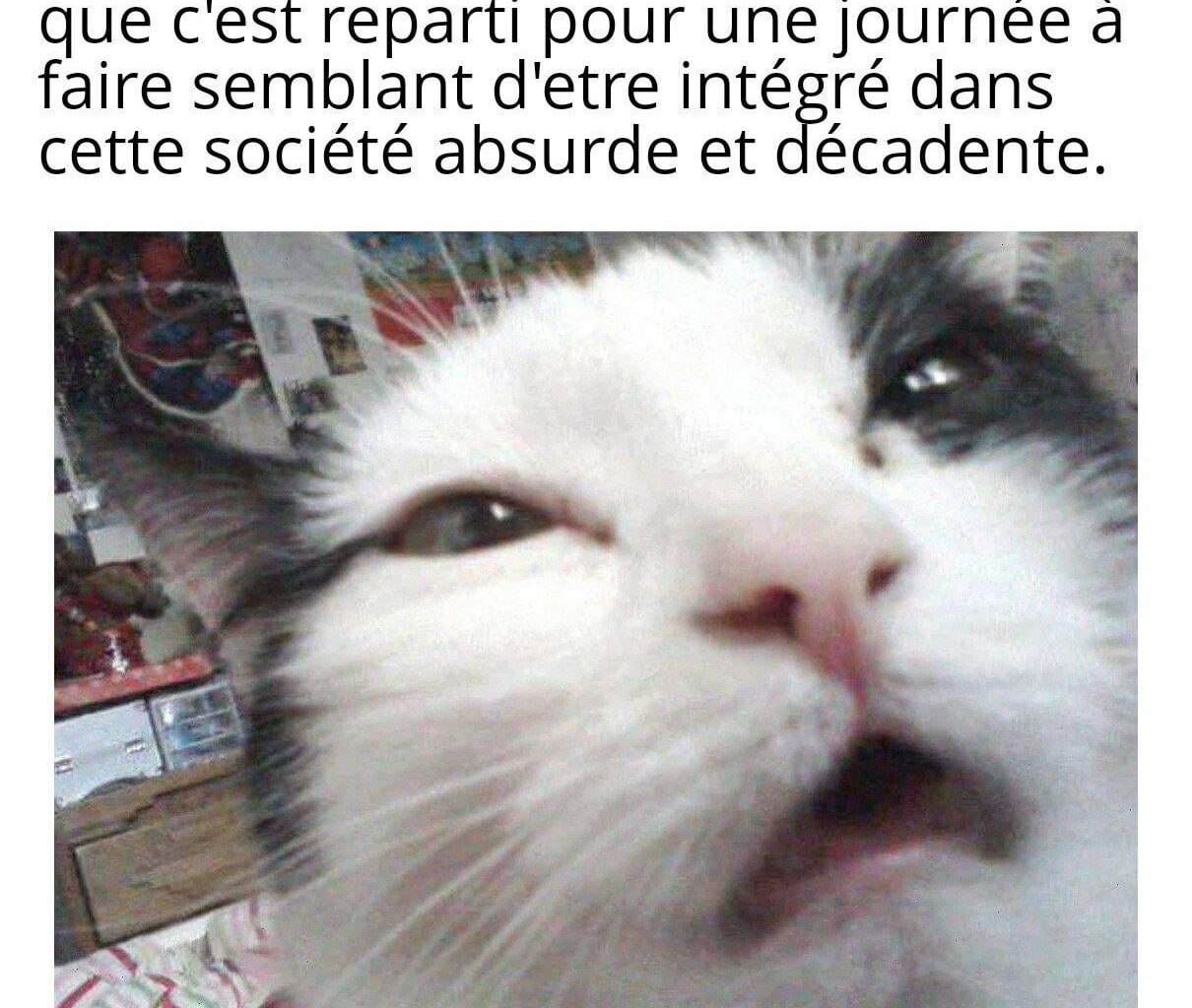 On va faire semblant
