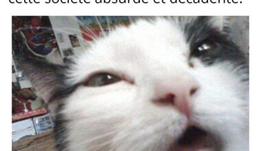 On va faire semblant