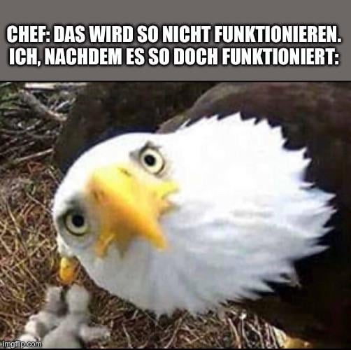 ich🦅iel