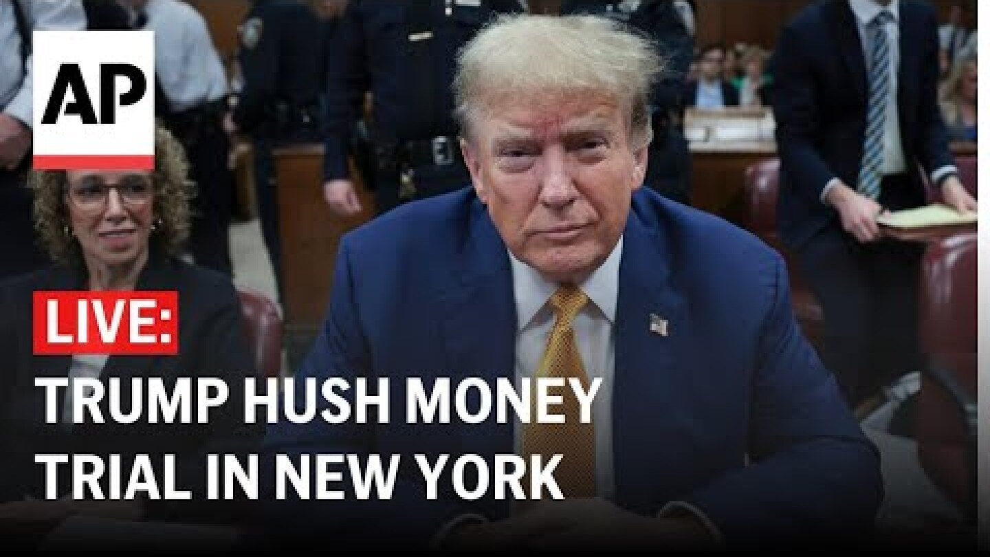 Discussion Thread: New York Criminal Fraud Trial of Donald Trump, Day 14