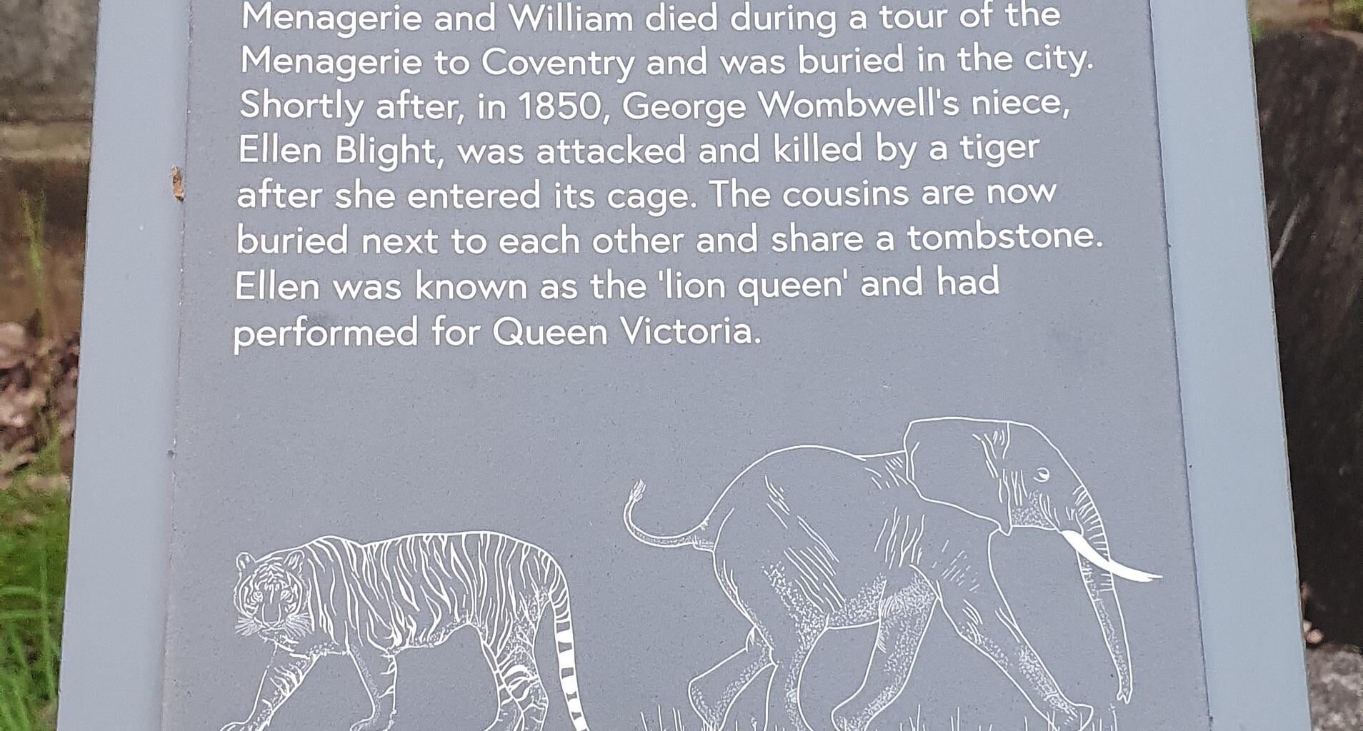 Spotted this in a cemetery in Coventry yesterday.