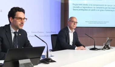 Hi han més articles avui -05/29/2024. Aqui estan tots els titulars que he trobat...