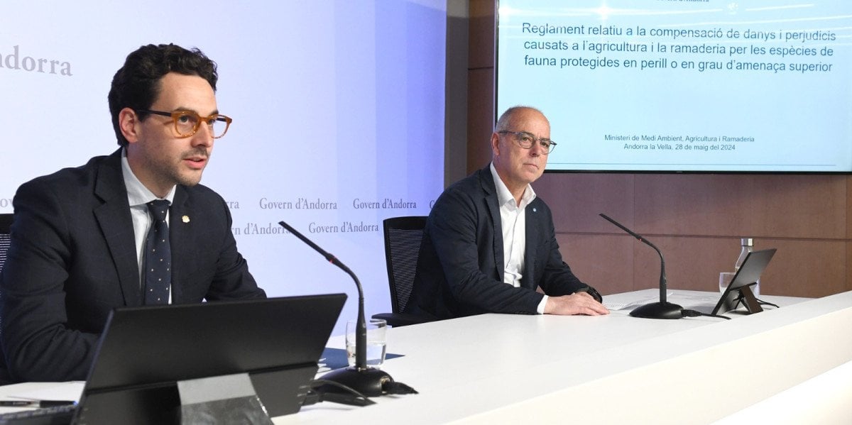 Hi han més articles avui -05/29/2024. Aqui estan tots els titulars que he trobat...