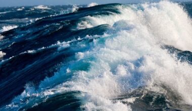 Warming of Antarctic deep-sea waters contribute to sea level rise in North Atlantic, study finds: Analysis of mooring observations and hydrographic data suggest the Atlantic Meridional Overturning Circulation deep water limb in the North Atlantic has weakened.