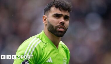 Premier League Golden Glove: Arsenal keeper David Raya wins award