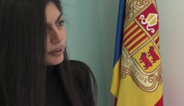 L'APDA portarà a Europa les "ingerències" del Consell General