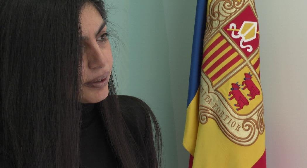 L'APDA portarà a Europa les "ingerències" del Consell General