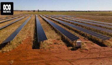 Australia’s first solar garden sprouts in Grong Grong, taking the renewables boom to the community