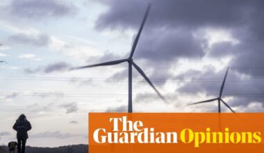 The Guardian view on net zero: a bank-led green transition won’t work for Britain