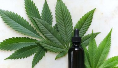 Les fulles de CBD del jove empresonat seran analitzades per determinar si porten droga