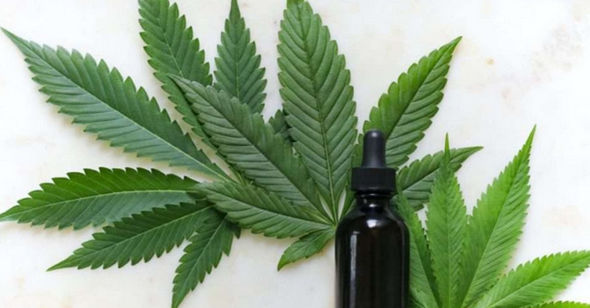 Les fulles de CBD del jove empresonat seran analitzades per determinar si porten droga