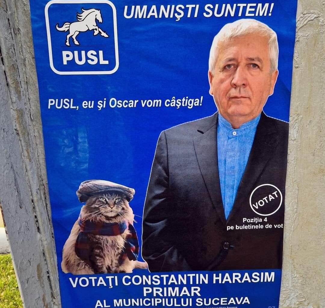 Sarea și piperul campaniei electorale: Un candidat la Primăria Suceava și-a pus pisica în afiș / ”Eu și Oscar vom câștiga”
