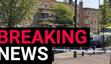 Woman stabbed to death in London street in daytime attack