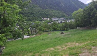 Hi han més articles avui -05/21/2024. Aqui estan tots els titulars que he trobat...