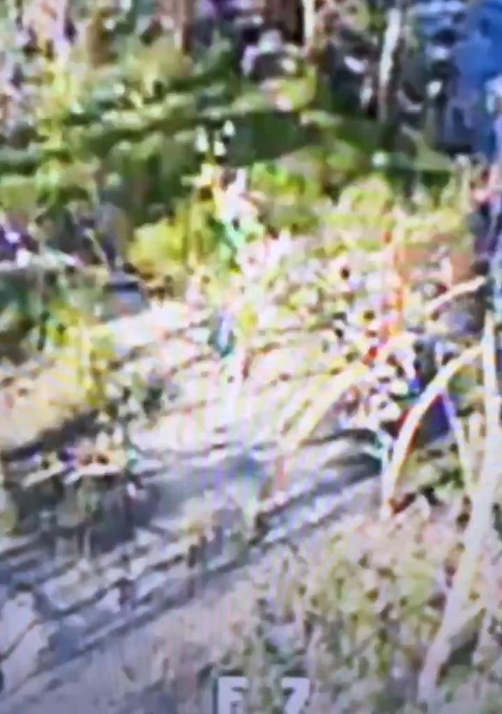 Magyar's 414th Marine Strike UAV Battalion drone finds a lone Russian