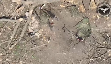 Ukraimian FPV drone split apart russian solider (18+)