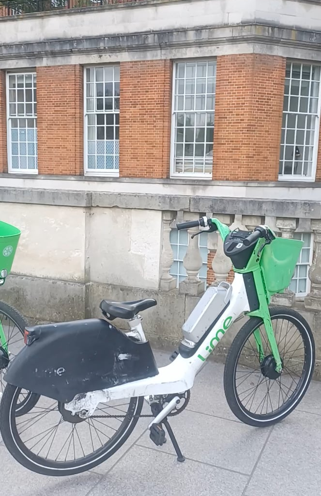 Lime Bikes outside home in Richmond. Am I being uppity or is this ridiculous?