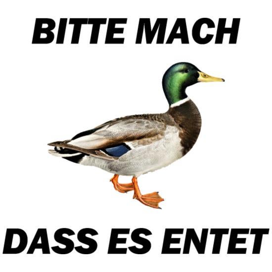 KEINE SCHWABEN MEMES!