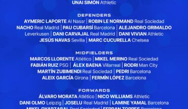 Nacho, Carvajal and Joselu included in the preliminary list of Spain for the Euros