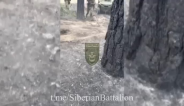 Siberian Battalion in the north of the Kharkov region - the beginning of a new Russian offensive (May 15)