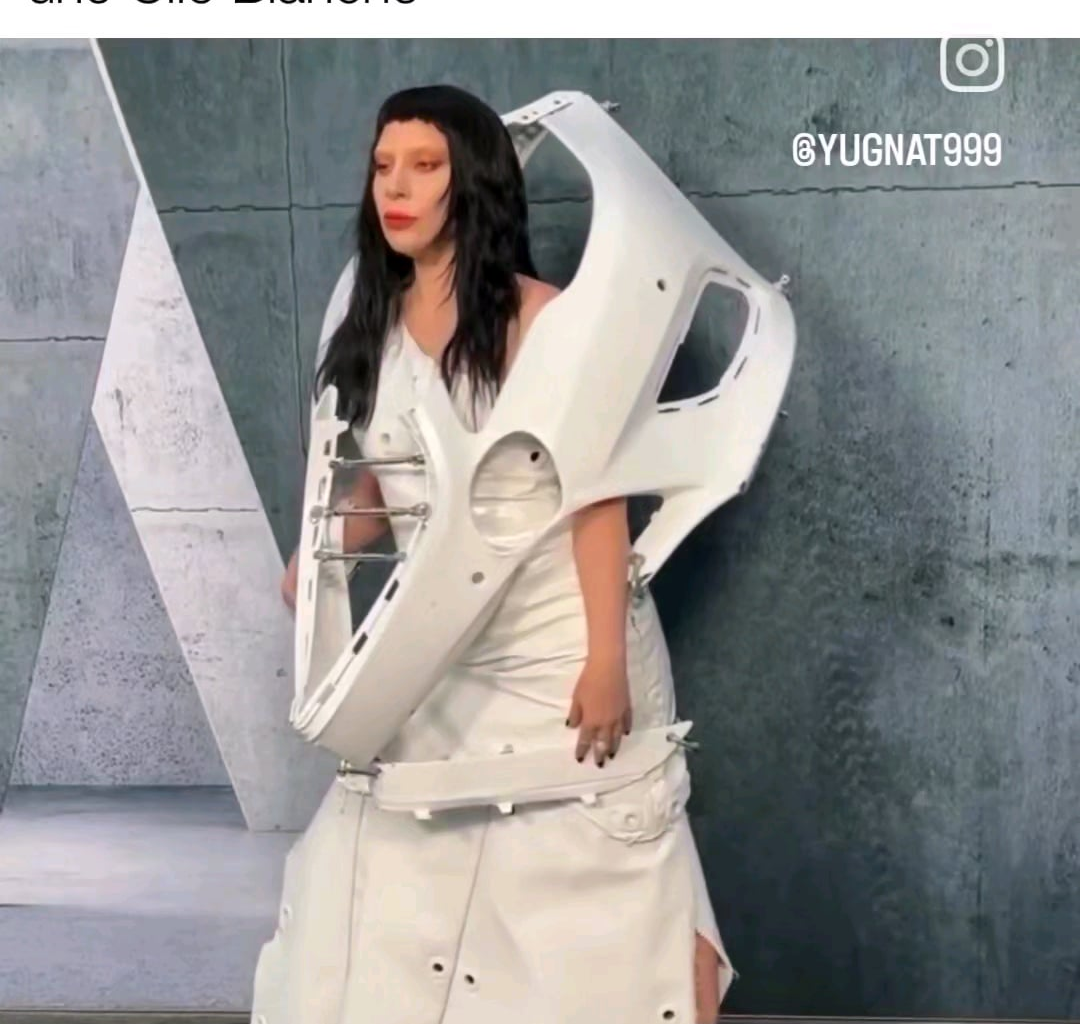 Ça fait autant de dégâts qu'un sanglier ces bêtes là
