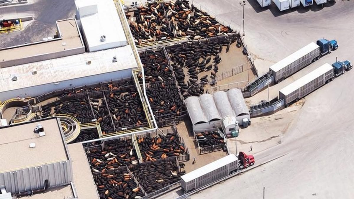 Lawsuit Filed Demanding USDA Produce Documents Related to the Environmental Review of Publicly Funded Factory Farms