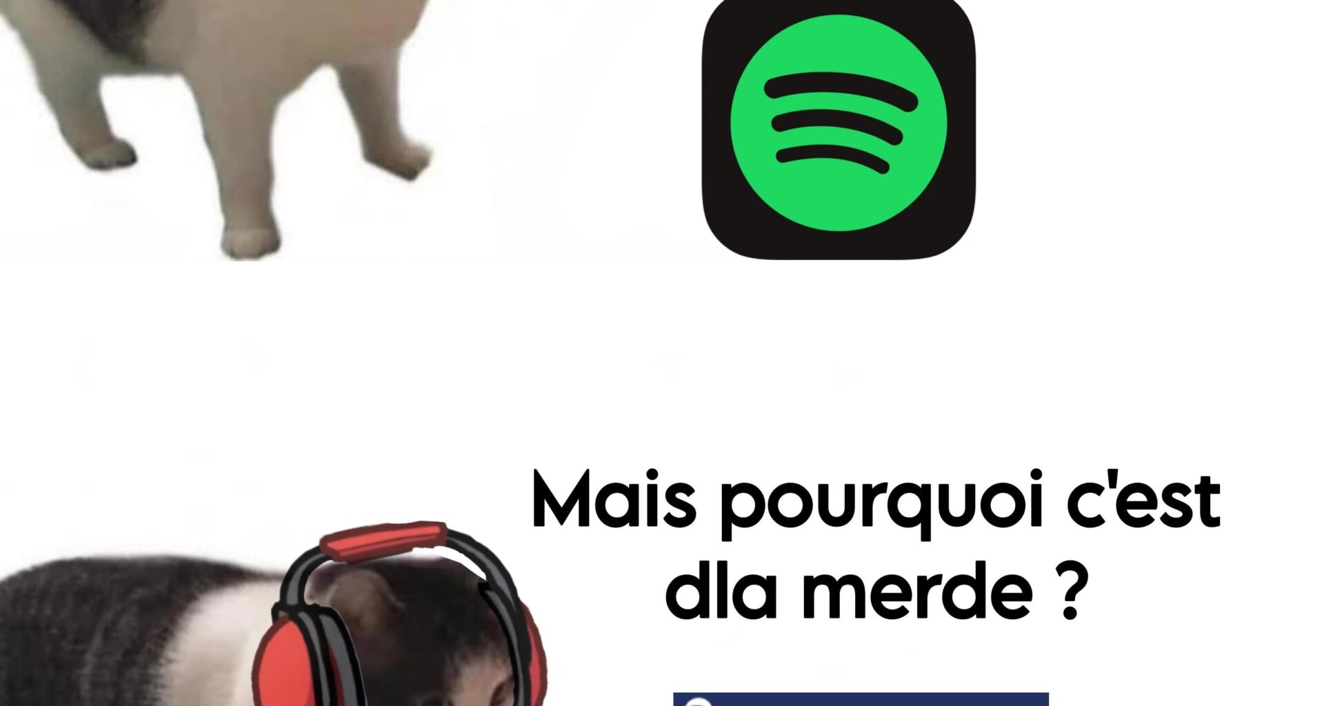 Allez balancez vos meilleures recommandations du moment