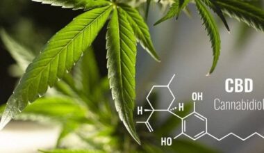 Hi han més articles avui -05/23/2024. Aqui estan tots els titulars que he trobat...