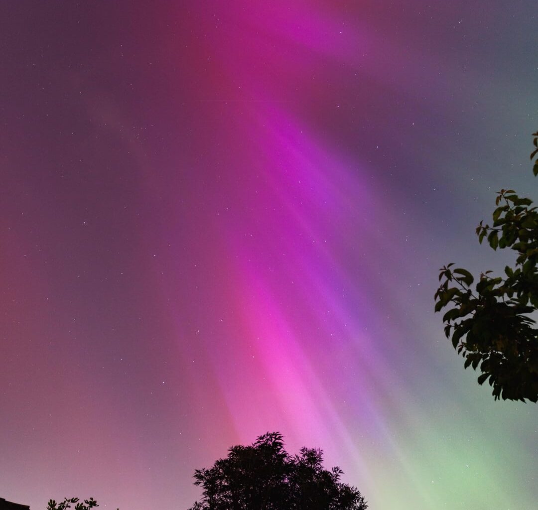 Aurora from my backyard!