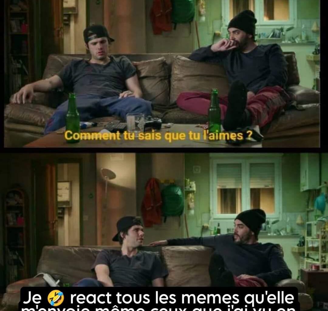 Hihi trop rigolo ce meme avec Balkany qui dit "Fraudons"