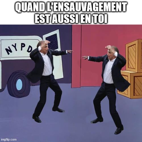 Le Z a encore tout mélangé