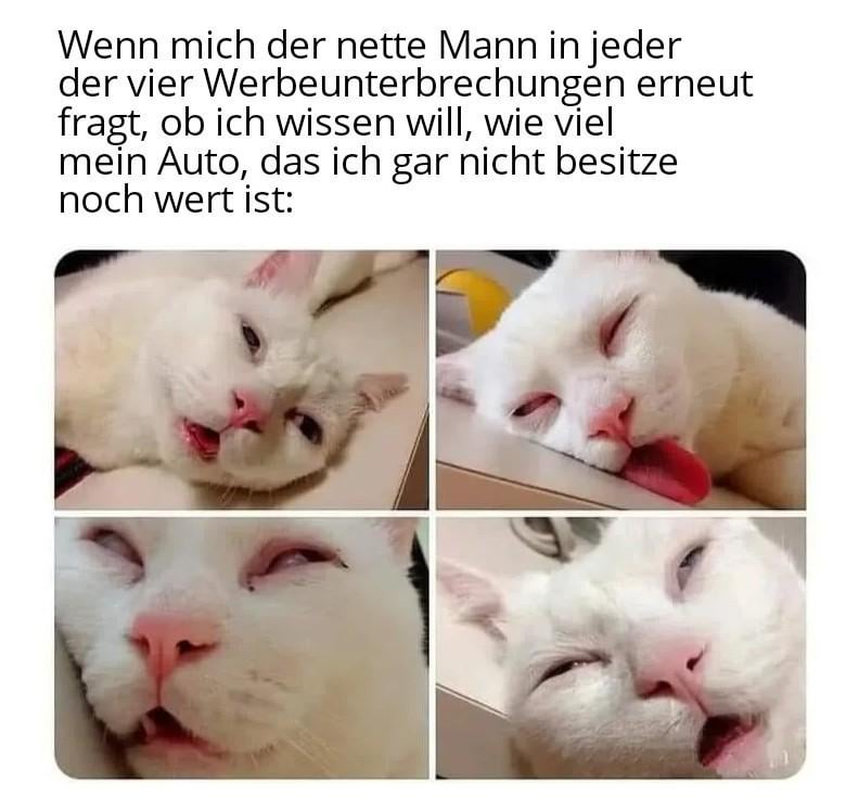 ich_iel