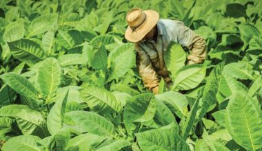 Abusar laboralment d'un empleat durant dotze anys costa 336.394 euros