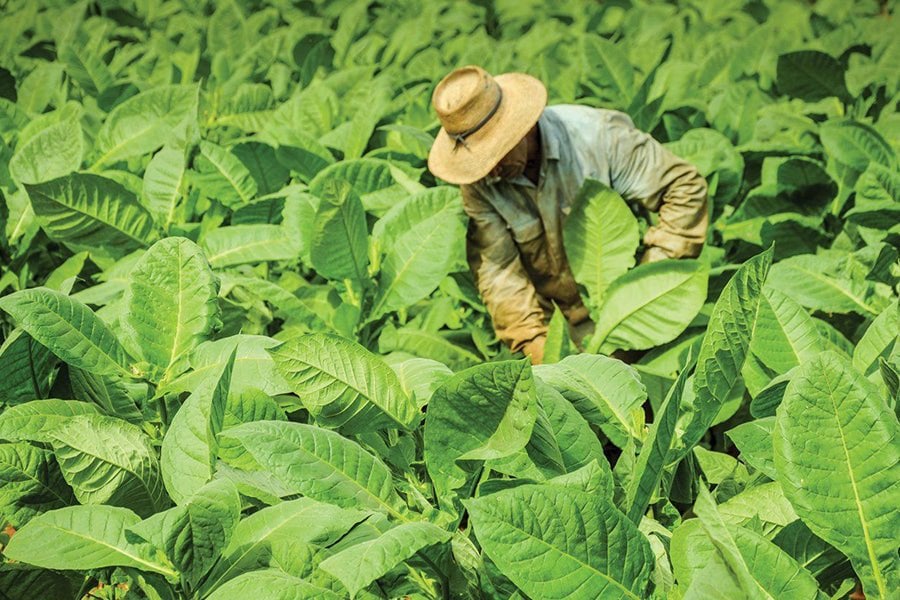 Abusar laboralment d'un empleat durant dotze anys costa 336.394 euros