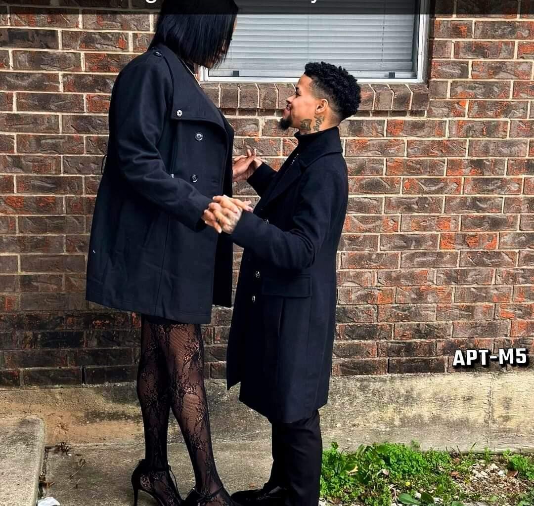 PIGS can *into* north?