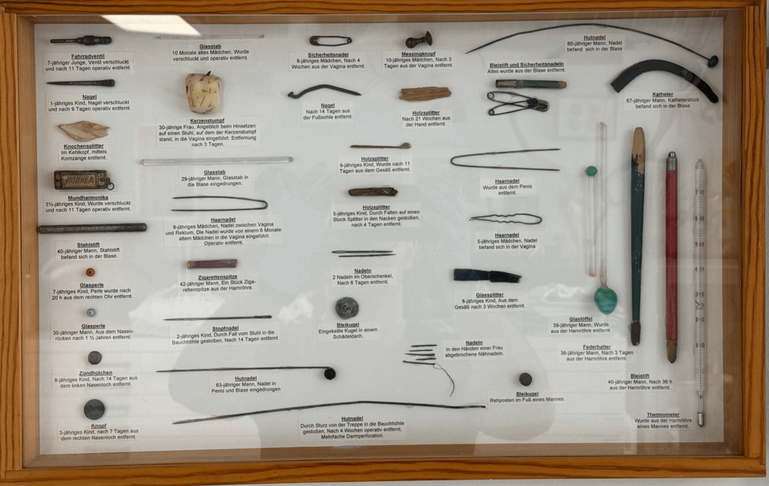 Schaukasten mit Gegenständen, die sich im menschlichen Körper befanden