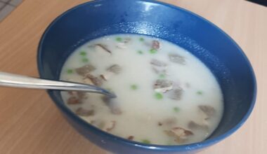 something traditionally austrian, rahmsuppe and schwammerlsauce mit semmelknödeln