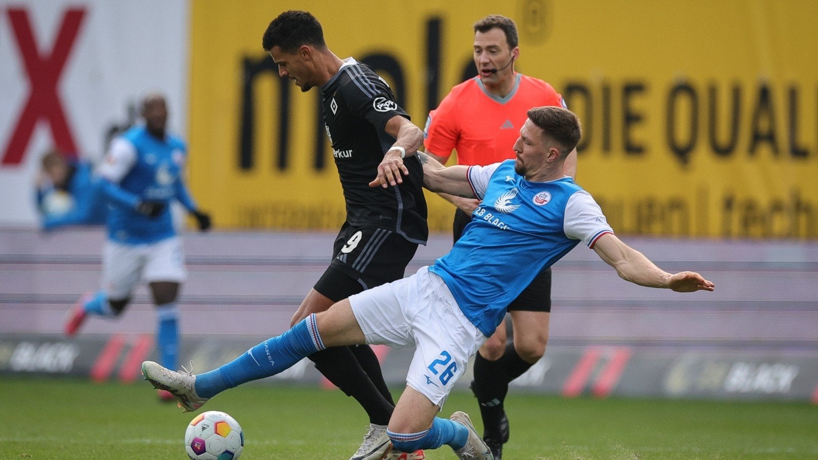 Schalke holt Abräumer Bachmann - dritter externer Zugang