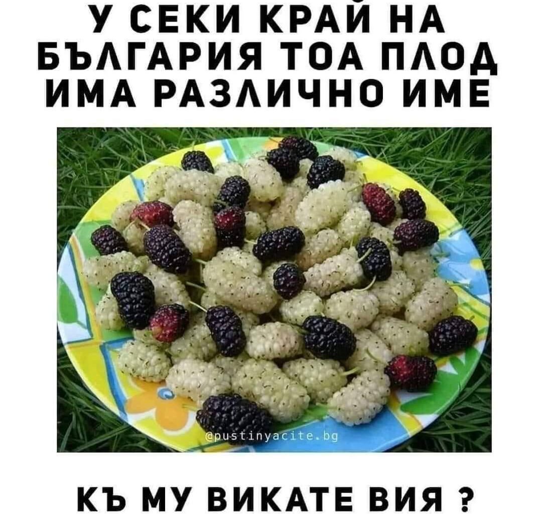 Ученка на български съм — диалект или неофициален?