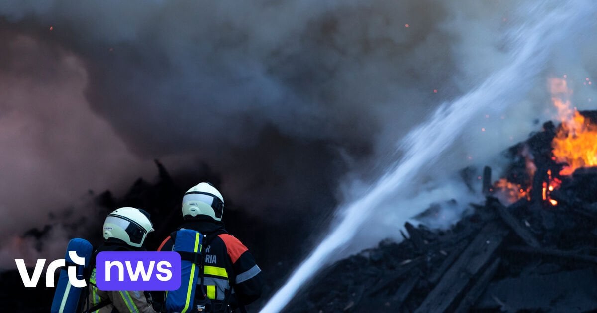 Vlaams Belang wil brandweer bewapenen met stroomstootwapens
