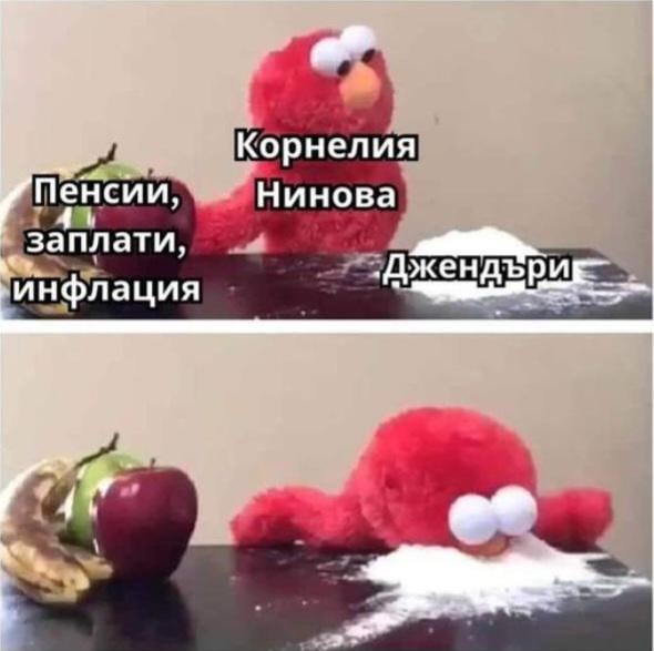 Корни, Корнии