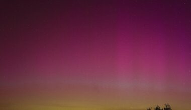 Picture from yesterdays nothern lights!
