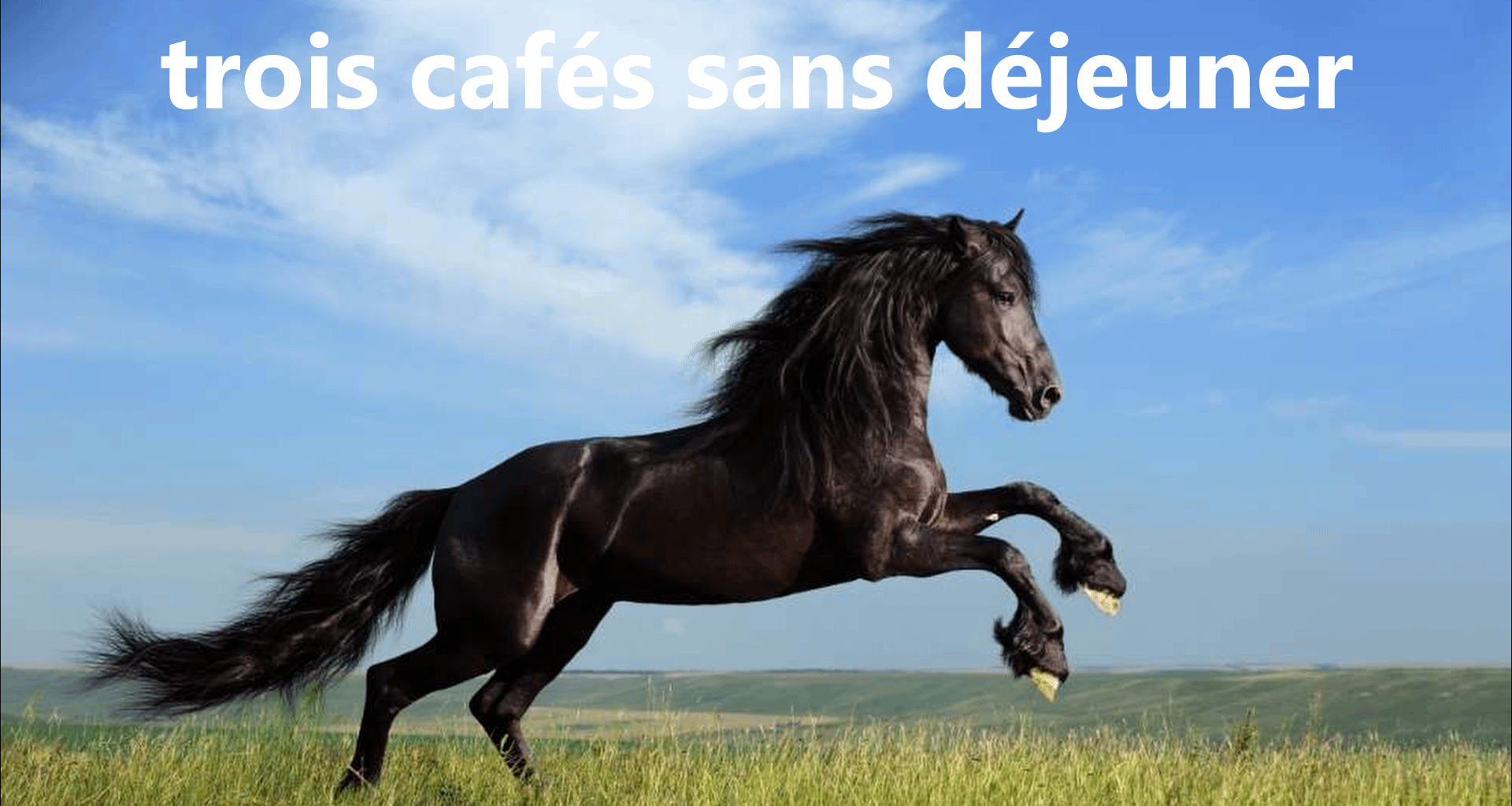 Moi Aujourd'hui