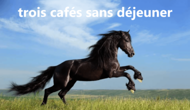 Moi Aujourd'hui