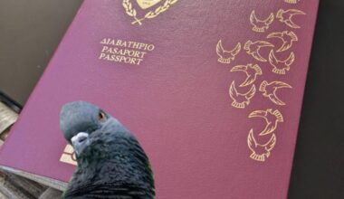 What's going on with the birds on the passport? Does it represent something? What's your personal theory?