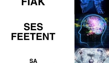 Memes>Fiak