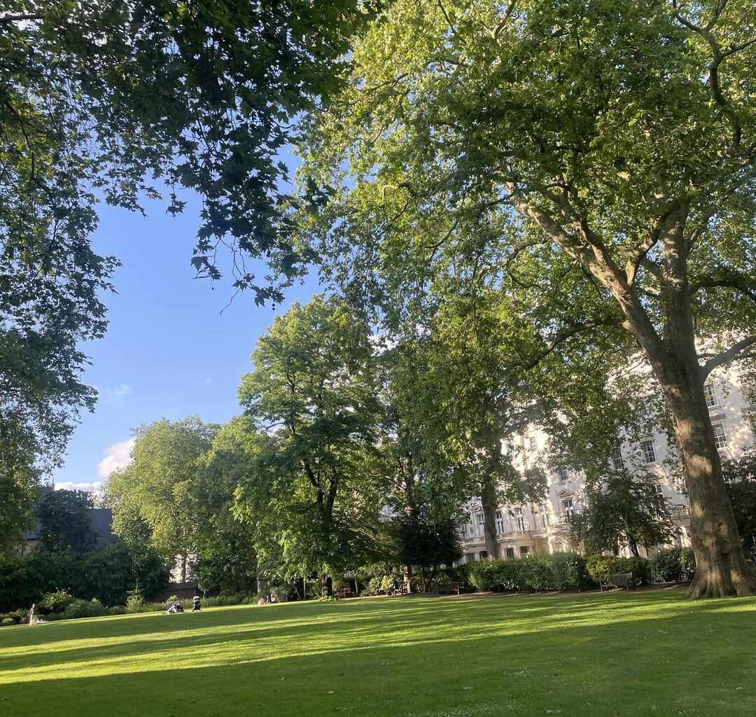 London Parks in Spring 🤍