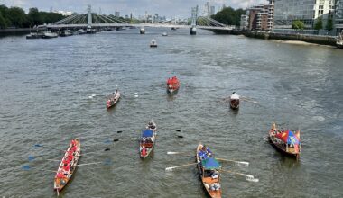 The Company of Watermen and Lightermen all rowing under Battersea Bridge heading down River.