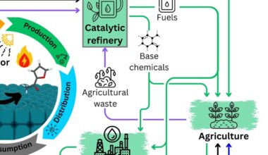 Can we revolutionise the chemical industry and create a circular economy? Yes, with the help of catalysts
