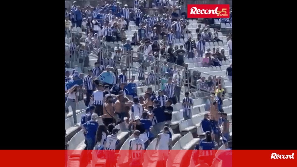 Final da Taça de Portugal: pancadaria entre os Super Dragões nas bancadas do Jamor. Isto está muito bom! 😂👏🏻